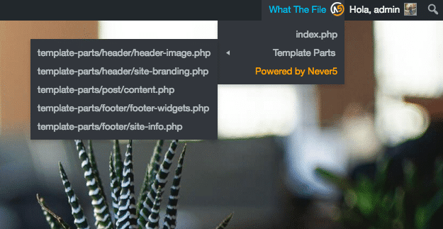 qué ficheros editar